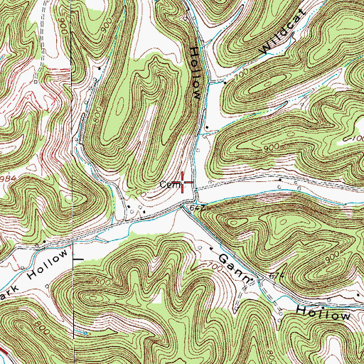 Topographic Map of Elisha Cox Cemetery, TN