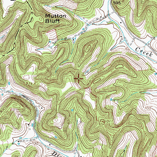 Topographic Map of Frogpond - Friendship Cemetery, TN