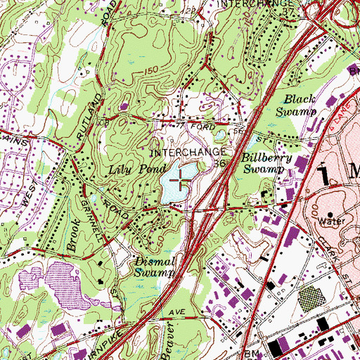 Topographic Map of Lily Pond, CT