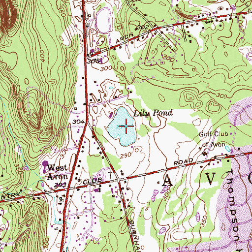 Topographic Map of Lily Pond, CT