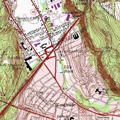 Topographic Map of Lily Pond, CT