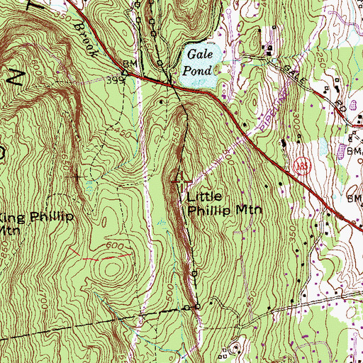 Topographic Map of Little Phillip Mountain, CT