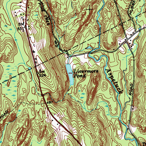 Topographic Map of Livermore Pond (historical), CT