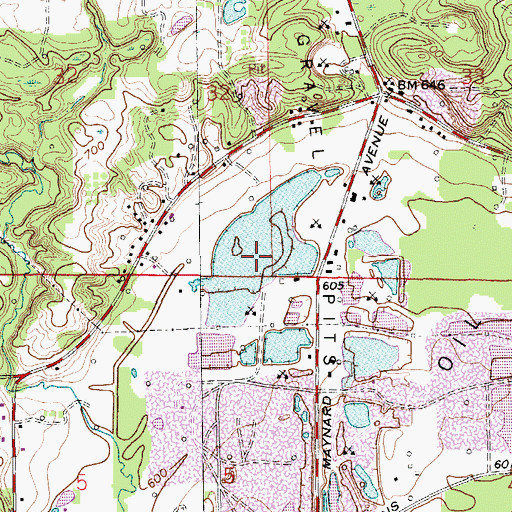 Topographic Map of Lake Leota, MI