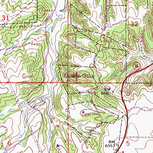 Topographic Map of Castle Oaks, CO