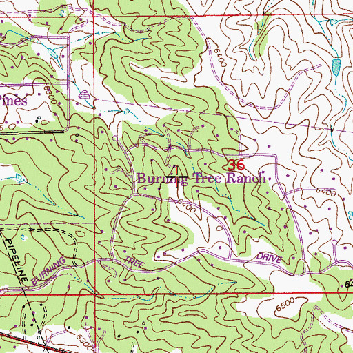 Topographic Map of Burning Tree Ranch, CO