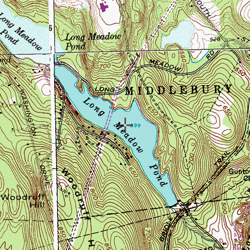 Topographic Map of Long Meadow Pond, CT