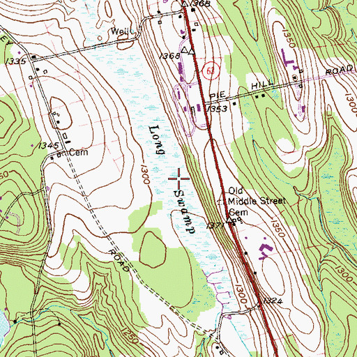Topographic Map of Long Swamp, CT