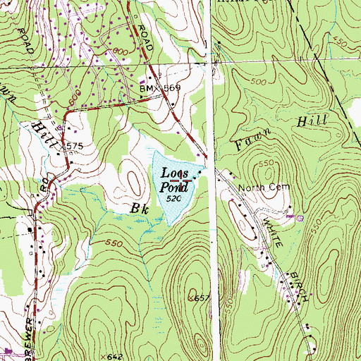 Topographic Map of Loos Pond, CT