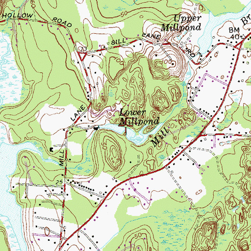 Topographic Map of Lower Millpond, CT