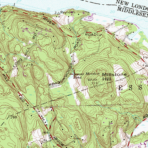 Topographic Map of Lyons Meadow Pond, CT