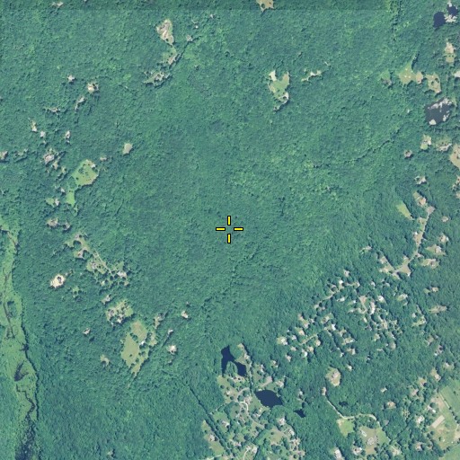 Aerial/Satellite Image of Lyons Swamp, CT