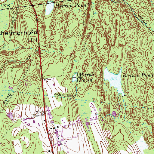 Topographic Map of Marsh Pond, CT