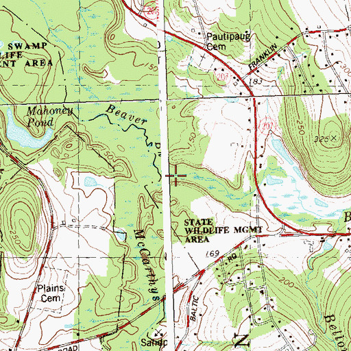 Topographic Map of McCarthys Brook, CT