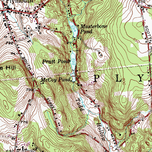 Topographic Map of McCoy Pond, CT