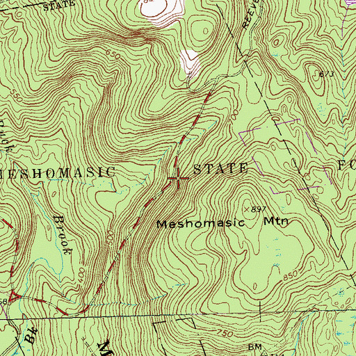 Topographic Map of Meshomasic State Forest, CT