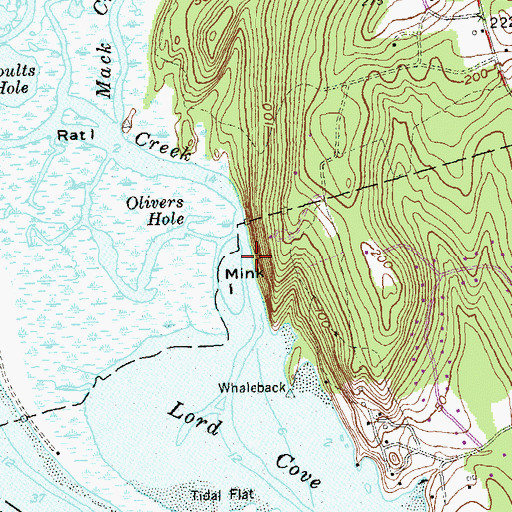 Topographic Map of Mink Island, CT