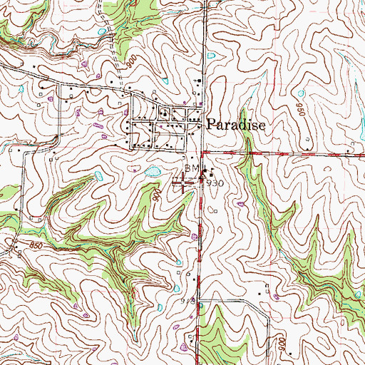 Topographic Map of Paradise Cemetery, MO