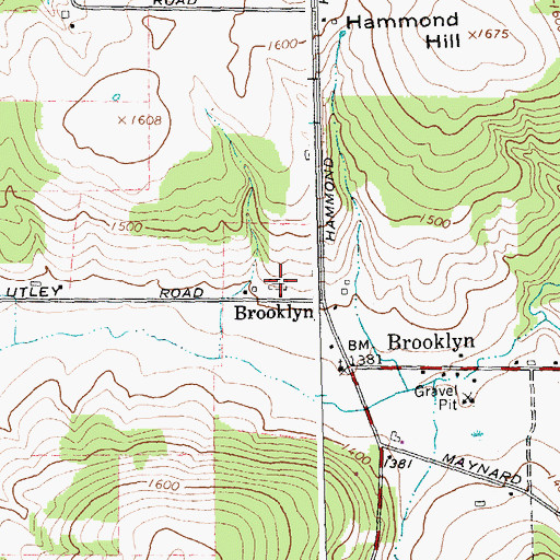 Topographic Map of Brooklyn Cemetery, NY