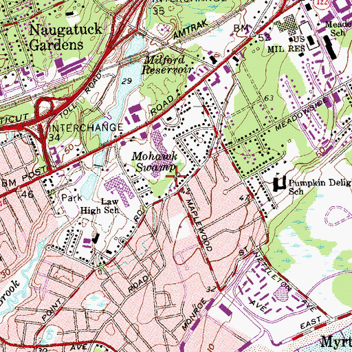 Topographic Map of Mohawk Swamp, CT