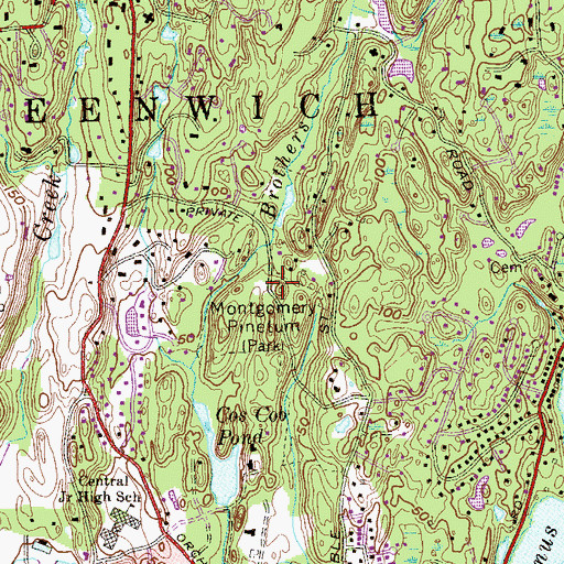 Topographic Map of Montgomery Pinetum, CT