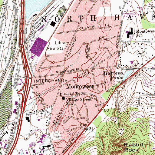 Topographic Map of Montowese, CT