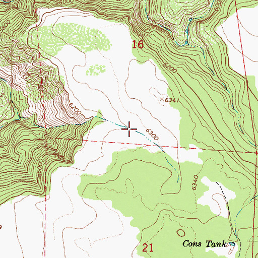Topographic Map of Cub Tank, AZ