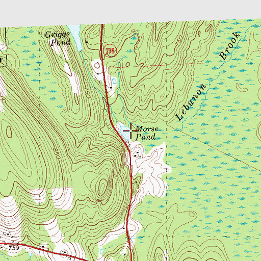 Topographic Map of Morse Pond, CT