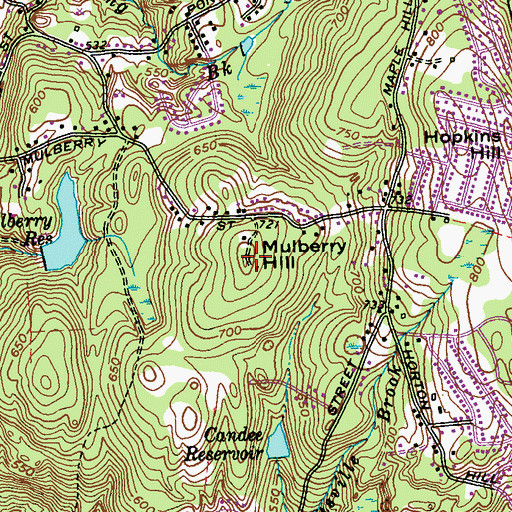 Topographic Map of Mulberry Hill, CT