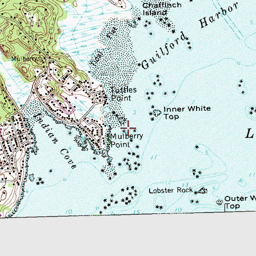 Topographic Map of Mulberry Point, CT