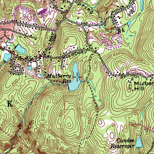 Topographic Map of Mulberry Reservoir, CT