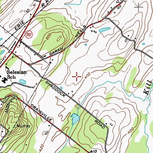 Topographic Map of Sara Wells Airport (historical), NY