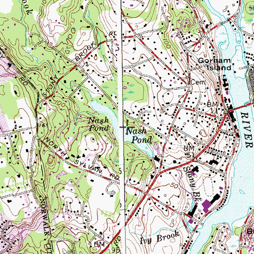 Topographic Map of Nash Pond, CT