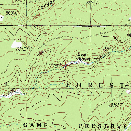 Topographic Map of Bear Spring Tank, AZ