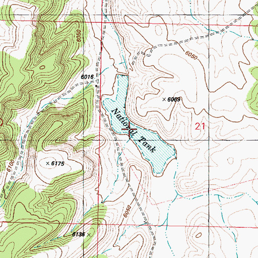 Topographic Map of National Tank, AZ