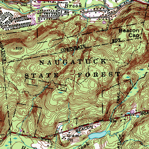 Topographic Map of Naugatuck State Forest, CT