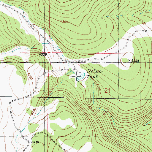 Topographic Map of Nelson Tank, AZ
