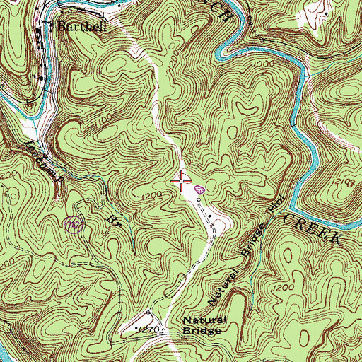 Topographic Map of Blue Heron Campground, KY