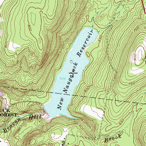 Topographic Map of New Naugatuck Reservoir, CT