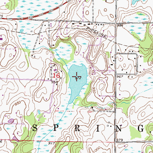Topographic Map of Buck Lake, MN