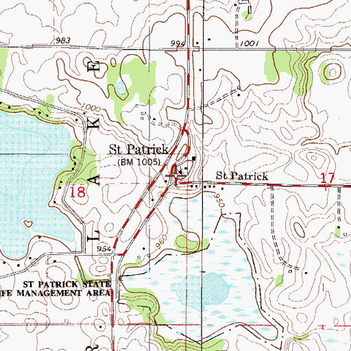 Topographic Map of Saint Patrick Catholic Cemetery, MN