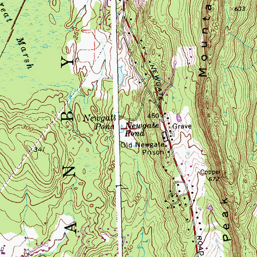 Topographic Map of Newgate Pond, CT
