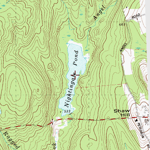 Topographic Map of Nightingale Pond, CT