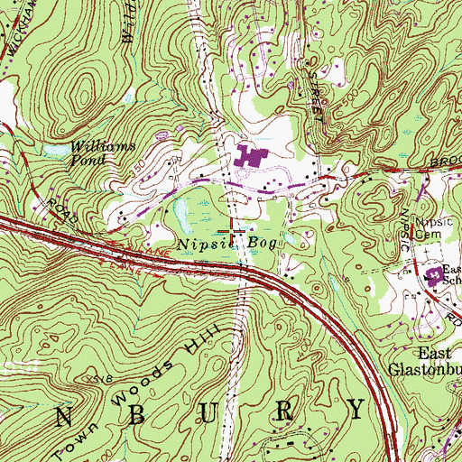 Topographic Map of Nipsic Bog, CT