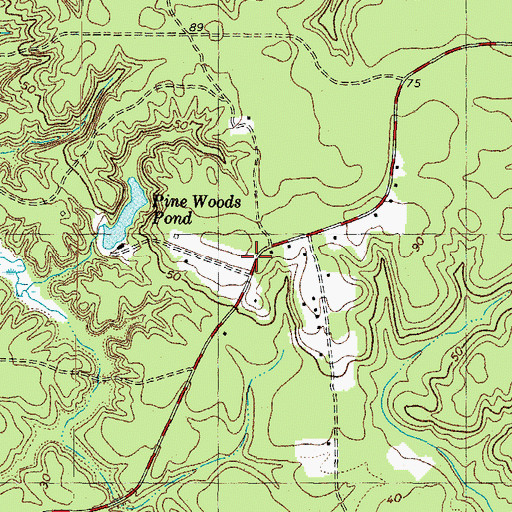 Topographic Map of Brickbat School (historical), VA