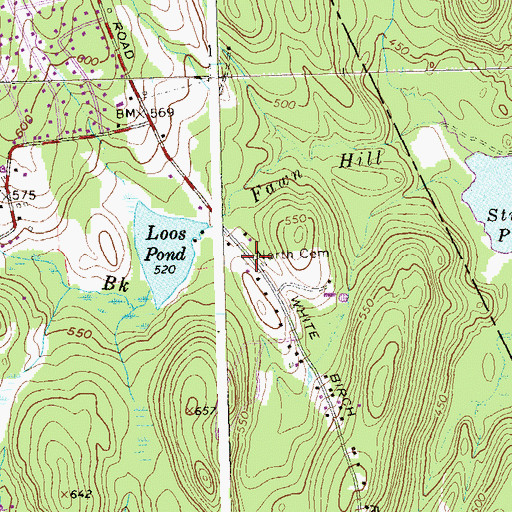 Topographic Map of North Cemetery, CT