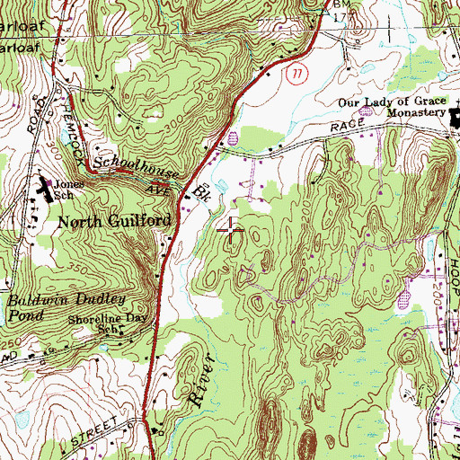 Topographic Map of North Guilford, CT