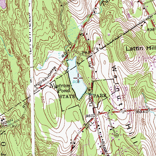 Topographic Map of Nystrom Pond State, CT