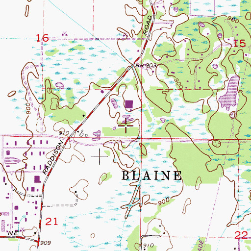 Topographic Map of Radisson Woods Park, MN