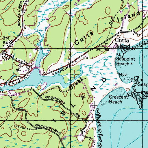 Topographic Map of Raynes Island, ME
